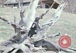 Image of New York vacation home New York United States USA, 1970, second 53 stock footage video 65675040533