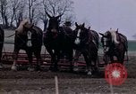 Image of Farmer plowing field New York United States USA, 1970, second 39 stock footage video 65675040534