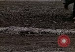 Image of Farmer plowing field New York United States USA, 1970, second 47 stock footage video 65675040534