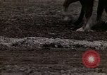 Image of Farmer plowing field New York United States USA, 1970, second 48 stock footage video 65675040534