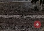 Image of Farmer plowing field New York United States USA, 1970, second 51 stock footage video 65675040534
