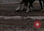 Image of Farmer plowing field New York United States USA, 1970, second 52 stock footage video 65675040534