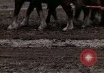 Image of Farmer plowing field New York United States USA, 1970, second 53 stock footage video 65675040534