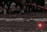 Image of Farmer plowing field New York United States USA, 1970, second 54 stock footage video 65675040534