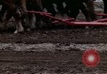 Image of Farmer plowing field New York United States USA, 1970, second 55 stock footage video 65675040534