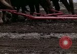 Image of Farmer plowing field New York United States USA, 1970, second 56 stock footage video 65675040534