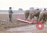 Image of Farmer with horses and mules plows field New York United States USA, 1970, second 1 stock footage video 65675040536