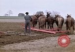 Image of Farmer with horses and mules plows field New York United States USA, 1970, second 3 stock footage video 65675040536