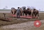 Image of Farmer with horses and mules plows field New York United States USA, 1970, second 4 stock footage video 65675040536