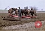 Image of Farmer with horses and mules plows field New York United States USA, 1970, second 5 stock footage video 65675040536