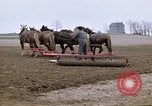 Image of Farmer with horses and mules plows field New York United States USA, 1970, second 7 stock footage video 65675040536