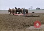 Image of Farmer with horses and mules plows field New York United States USA, 1970, second 11 stock footage video 65675040536