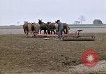 Image of Farmer with horses and mules plows field New York United States USA, 1970, second 12 stock footage video 65675040536