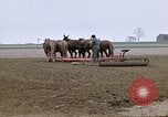 Image of Farmer with horses and mules plows field New York United States USA, 1970, second 13 stock footage video 65675040536