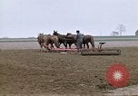 Image of Farmer with horses and mules plows field New York United States USA, 1970, second 14 stock footage video 65675040536