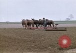 Image of Farmer with horses and mules plows field New York United States USA, 1970, second 15 stock footage video 65675040536