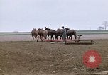 Image of Farmer with horses and mules plows field New York United States USA, 1970, second 16 stock footage video 65675040536