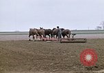 Image of Farmer with horses and mules plows field New York United States USA, 1970, second 17 stock footage video 65675040536