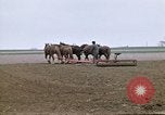 Image of Farmer with horses and mules plows field New York United States USA, 1970, second 18 stock footage video 65675040536