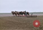 Image of Farmer with horses and mules plows field New York United States USA, 1970, second 19 stock footage video 65675040536