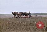 Image of Farmer with horses and mules plows field New York United States USA, 1970, second 20 stock footage video 65675040536