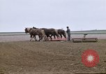 Image of Farmer with horses and mules plows field New York United States USA, 1970, second 21 stock footage video 65675040536