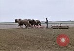 Image of Farmer with horses and mules plows field New York United States USA, 1970, second 22 stock footage video 65675040536