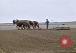 Image of Farmer with horses and mules plows field New York United States USA, 1970, second 23 stock footage video 65675040536