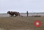 Image of Farmer with horses and mules plows field New York United States USA, 1970, second 24 stock footage video 65675040536