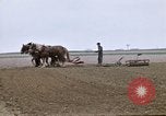 Image of Farmer with horses and mules plows field New York United States USA, 1970, second 25 stock footage video 65675040536