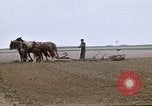 Image of Farmer with horses and mules plows field New York United States USA, 1970, second 26 stock footage video 65675040536