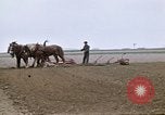 Image of Farmer with horses and mules plows field New York United States USA, 1970, second 27 stock footage video 65675040536