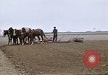 Image of Farmer with horses and mules plows field New York United States USA, 1970, second 28 stock footage video 65675040536