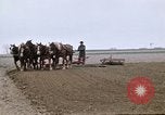 Image of Farmer with horses and mules plows field New York United States USA, 1970, second 29 stock footage video 65675040536