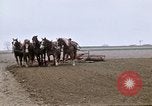 Image of Farmer with horses and mules plows field New York United States USA, 1970, second 30 stock footage video 65675040536