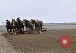 Image of Farmer with horses and mules plows field New York United States USA, 1970, second 31 stock footage video 65675040536