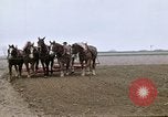 Image of Farmer with horses and mules plows field New York United States USA, 1970, second 32 stock footage video 65675040536