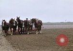 Image of Farmer with horses and mules plows field New York United States USA, 1970, second 33 stock footage video 65675040536