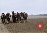 Image of Farmer with horses and mules plows field New York United States USA, 1970, second 34 stock footage video 65675040536