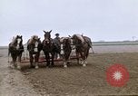 Image of Farmer with horses and mules plows field New York United States USA, 1970, second 35 stock footage video 65675040536