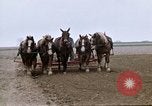 Image of Farmer with horses and mules plows field New York United States USA, 1970, second 36 stock footage video 65675040536