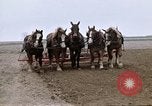 Image of Farmer with horses and mules plows field New York United States USA, 1970, second 37 stock footage video 65675040536