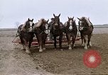 Image of Farmer with horses and mules plows field New York United States USA, 1970, second 38 stock footage video 65675040536