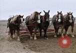 Image of Farmer with horses and mules plows field New York United States USA, 1970, second 40 stock footage video 65675040536