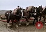 Image of Farmer with horses and mules plows field New York United States USA, 1970, second 43 stock footage video 65675040536