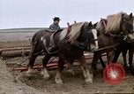 Image of Farmer with horses and mules plows field New York United States USA, 1970, second 44 stock footage video 65675040536
