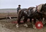 Image of Farmer with horses and mules plows field New York United States USA, 1970, second 45 stock footage video 65675040536