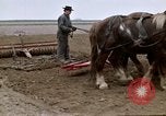Image of Farmer with horses and mules plows field New York United States USA, 1970, second 46 stock footage video 65675040536