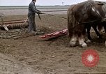Image of Farmer with horses and mules plows field New York United States USA, 1970, second 47 stock footage video 65675040536