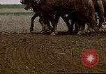 Image of Farmer with horses and mules plows field New York United States USA, 1970, second 48 stock footage video 65675040536